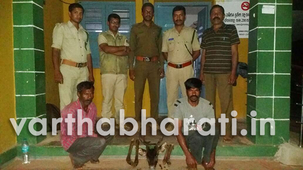 ​ಜಿಂಕೆ ಬೇಟೆ: ಇಬ್ಬರ ಬಂಧನ